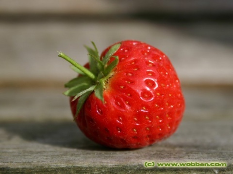 02 strawberry plucked